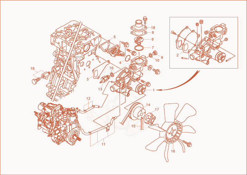 Exploded parts diagram of the cooling system of a Wacker Neuson 3503RD, with numbered balloons