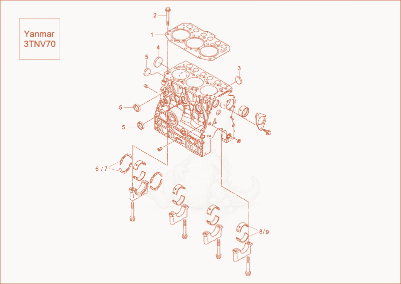 Exploded parts diagram of the cylinder block of a Wacker Neuson 803, with numbered balloons