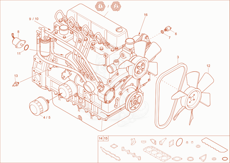 Despiece del diesel engine de una máquina Wacker Neuson 5002RD, con globos numerados