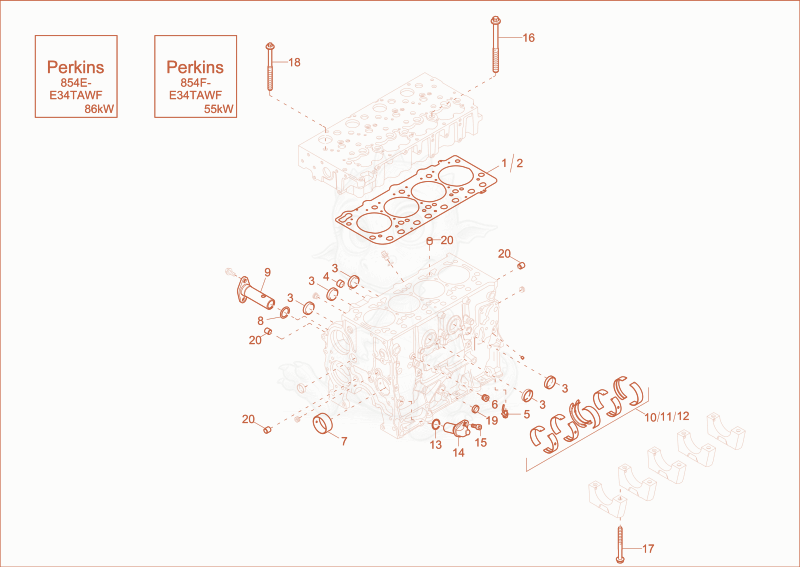 Exploded parts diagram of the cylinder block of a Wacker Neuson ET145, with numbered balloons